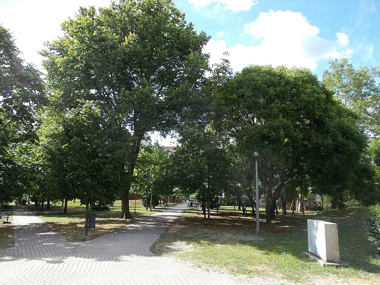 Bartók Béla Boulevard Budapest: A Local's Guide to Buda's Coolest Street