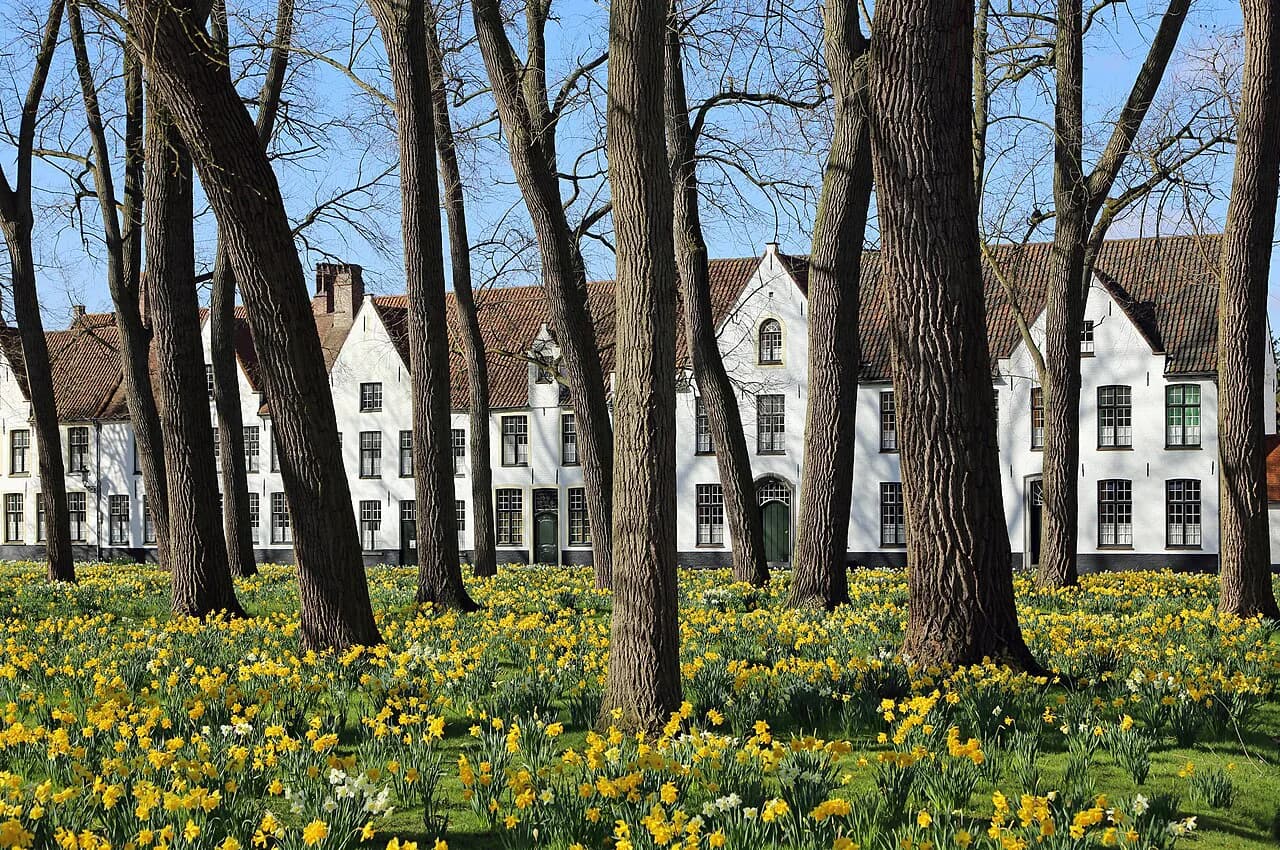 Begijnhof Bruges: Princely Beguinage Visitor Guide - Free Entry