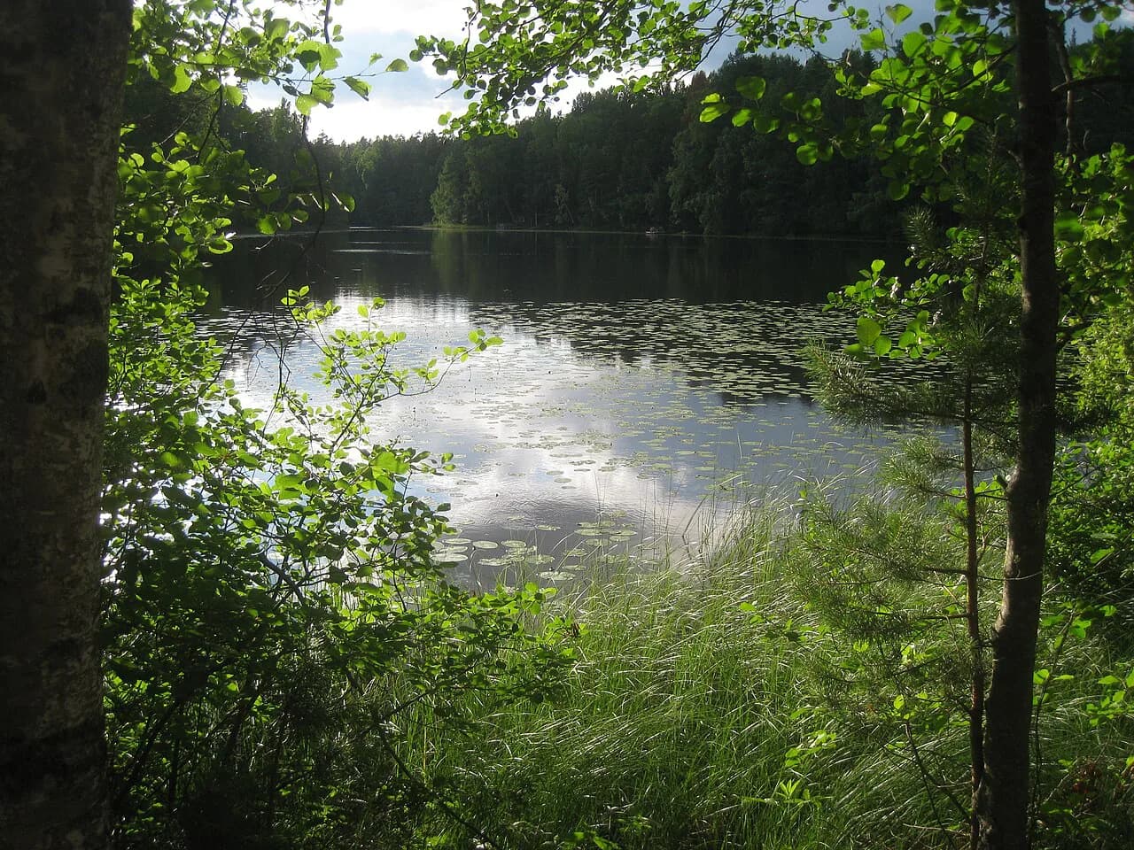 7 Best Day Trips From Helsinki: Top Picks & Logistics Guide
