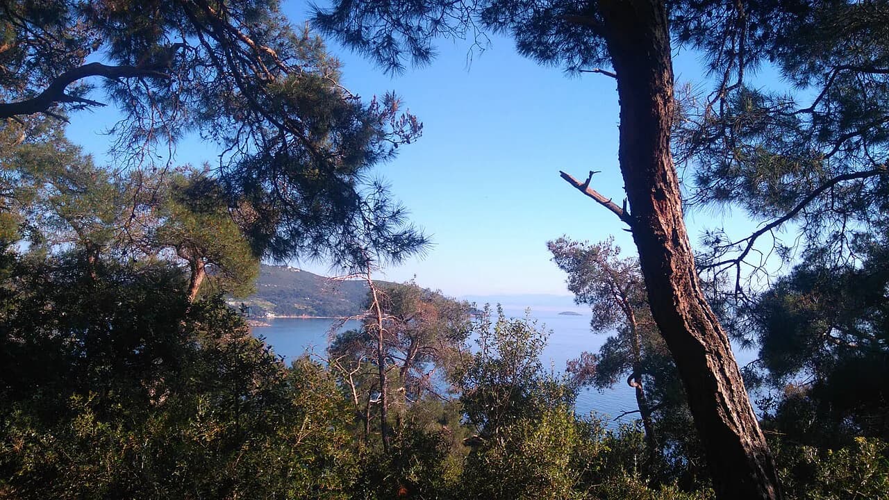 6 Best Day Trips from Istanbul: Local Guide to Easy Escapes