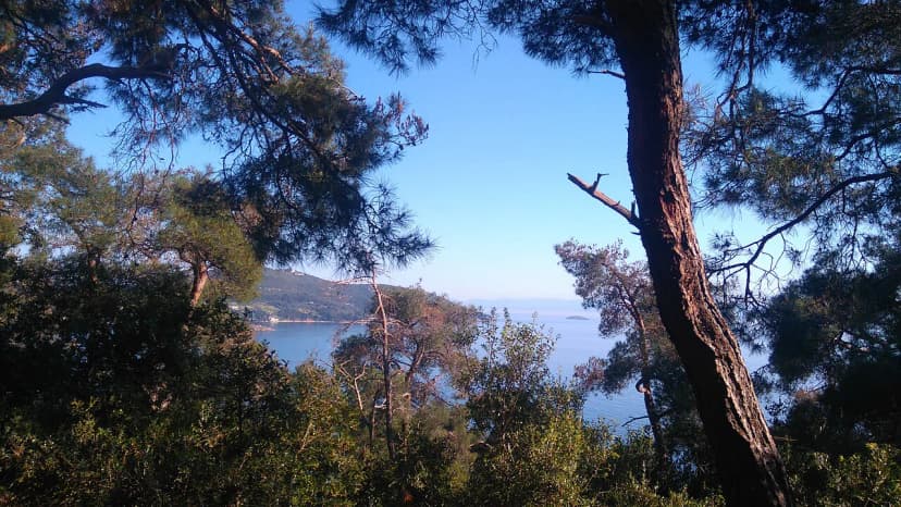 6 Best Day Trips from Istanbul: Local Guide to Easy Escapes