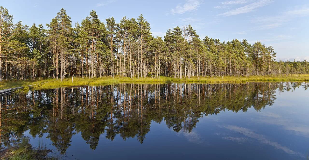12 Best Day Trips From Tallinn: Nature, History & Island Escapes