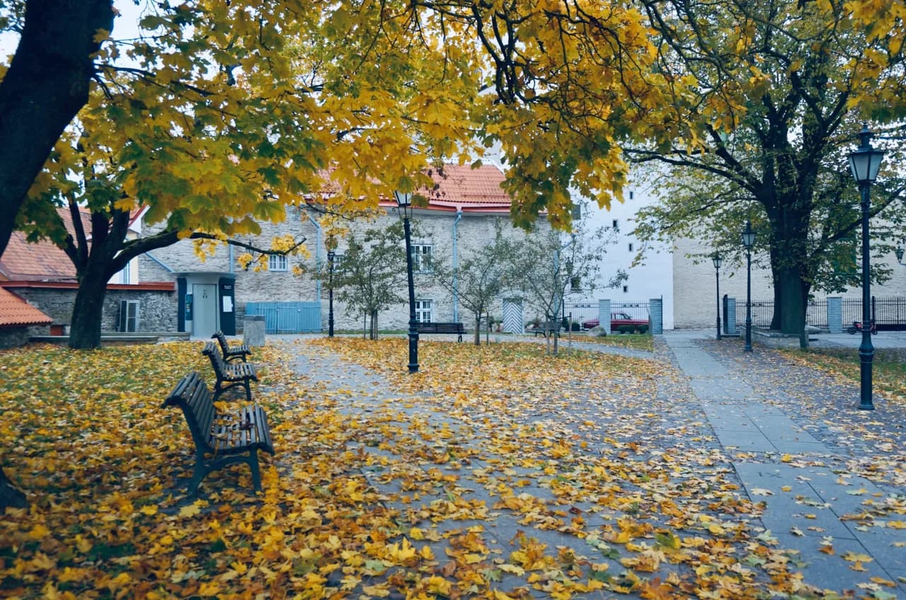 Best Time to Visit Tallinn Without Crowds: 2026 Seasonal Guide