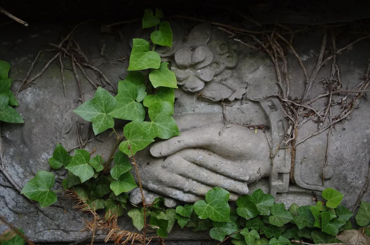 Cimetière du Dieweg, Brussels: A Visitor Guide