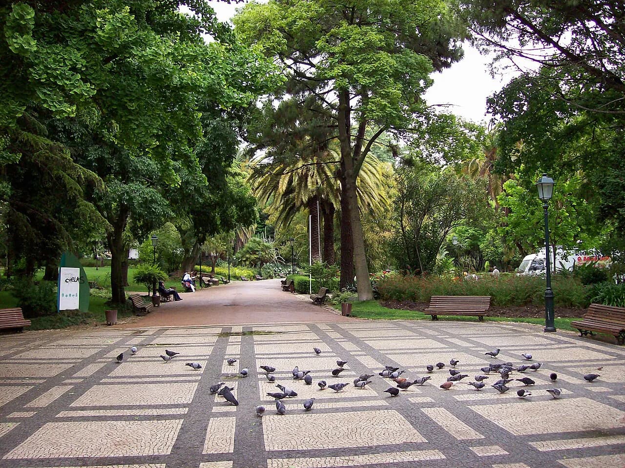 Estrela Lisbon Guide: Sights, Logistics & Local Secrets