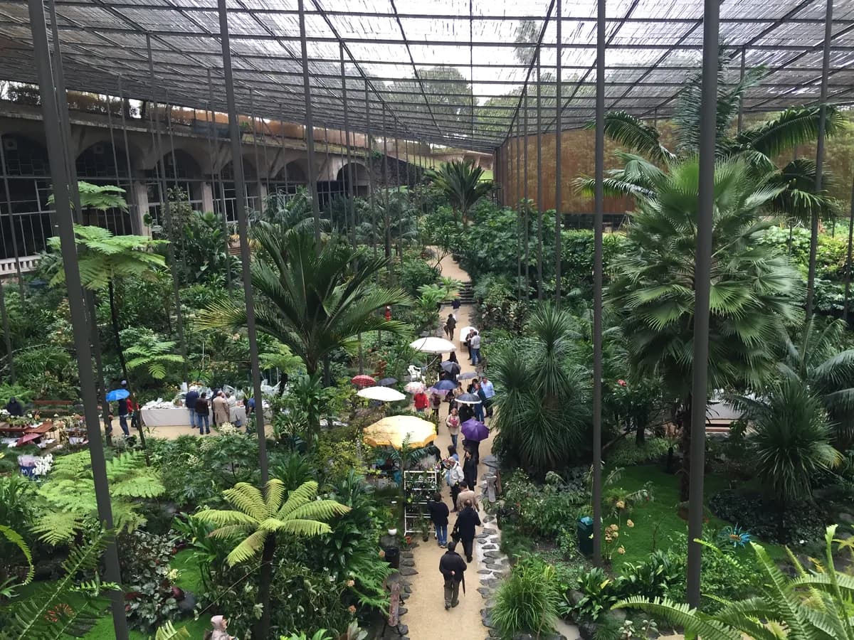 Estufa Fria Visitor Guide: Practical Tips & What to See in Lisbon