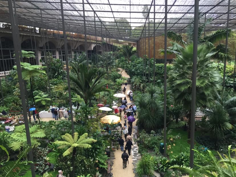 Estufa Fria Visitor Guide: Practical Tips & What to See in Lisbon