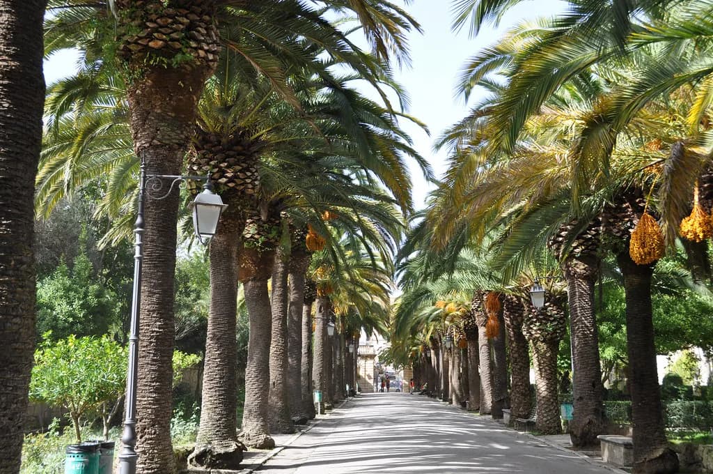 Giardino Ibleo, Ragusa: A Visitor Guide to Ibla's Public Garden