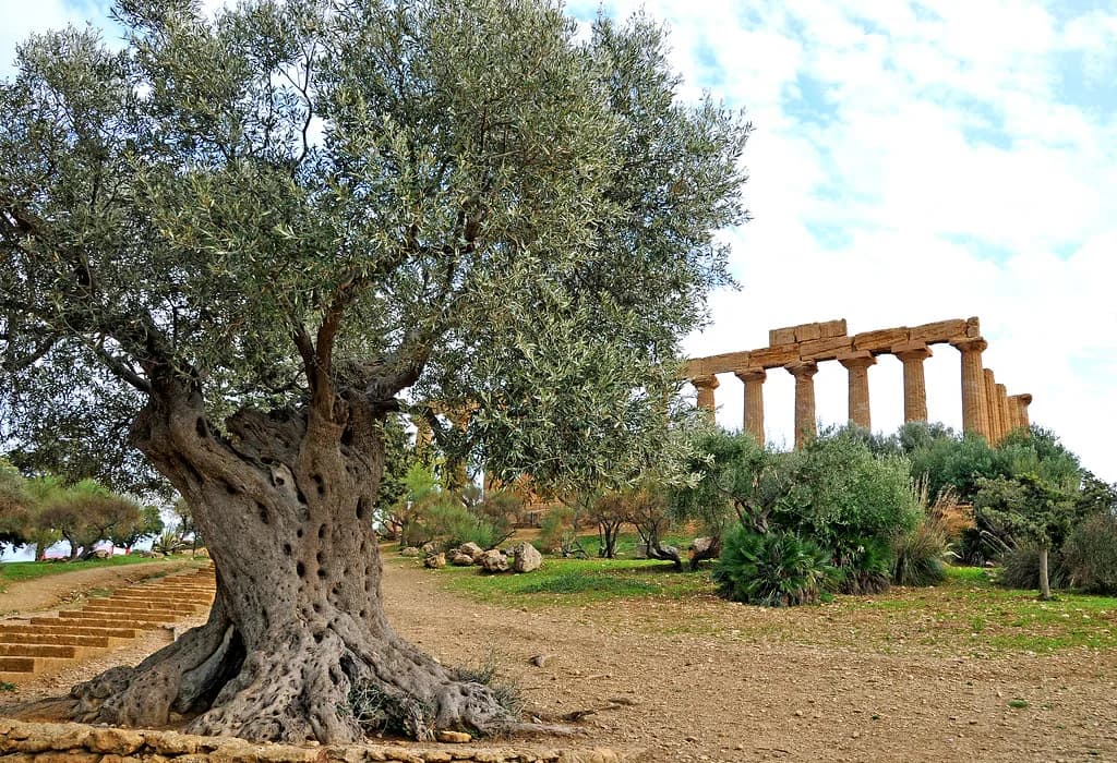 Hidden Gems in Agrigento: Lesser-Known Places Beyond the Temples