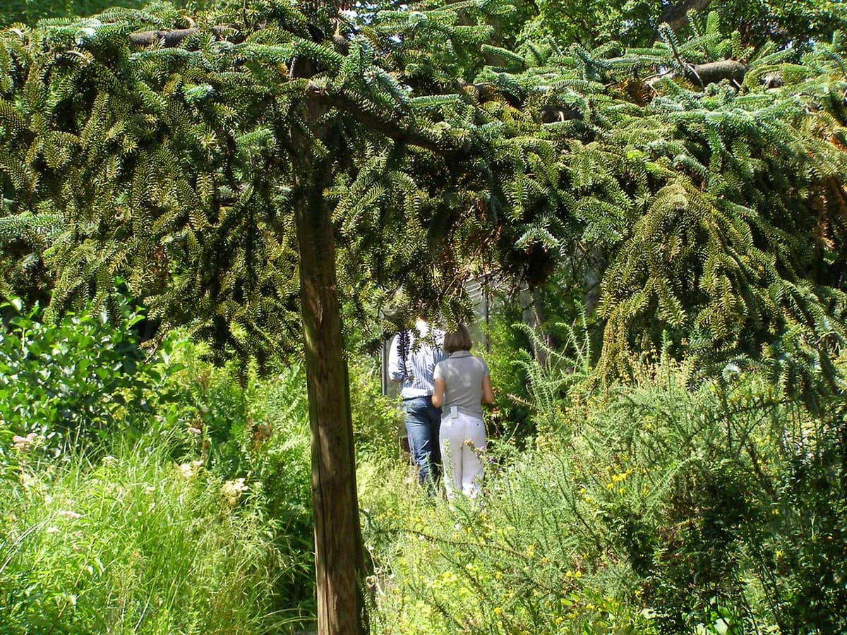Hortus Botanicus Amsterdam Visitor Guide: Plan Your Trip