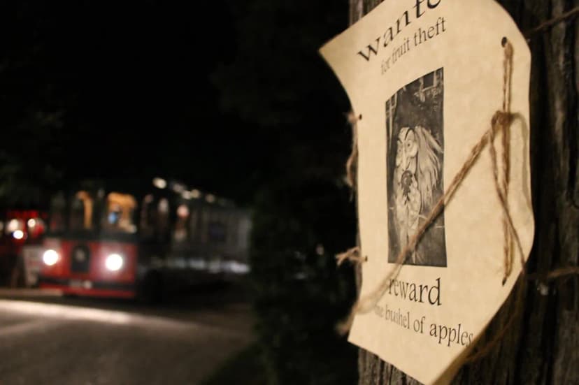 The House of Houdini Visitor Guide: Tickets, Magic Shows, and History