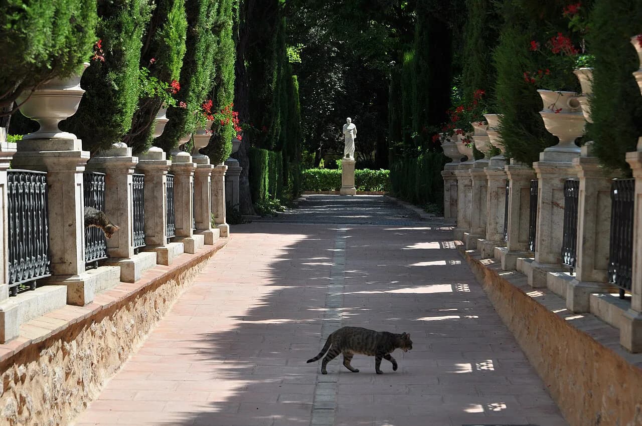 Jardines de Monforte Valencia: A Guide to the City's Secret Garden