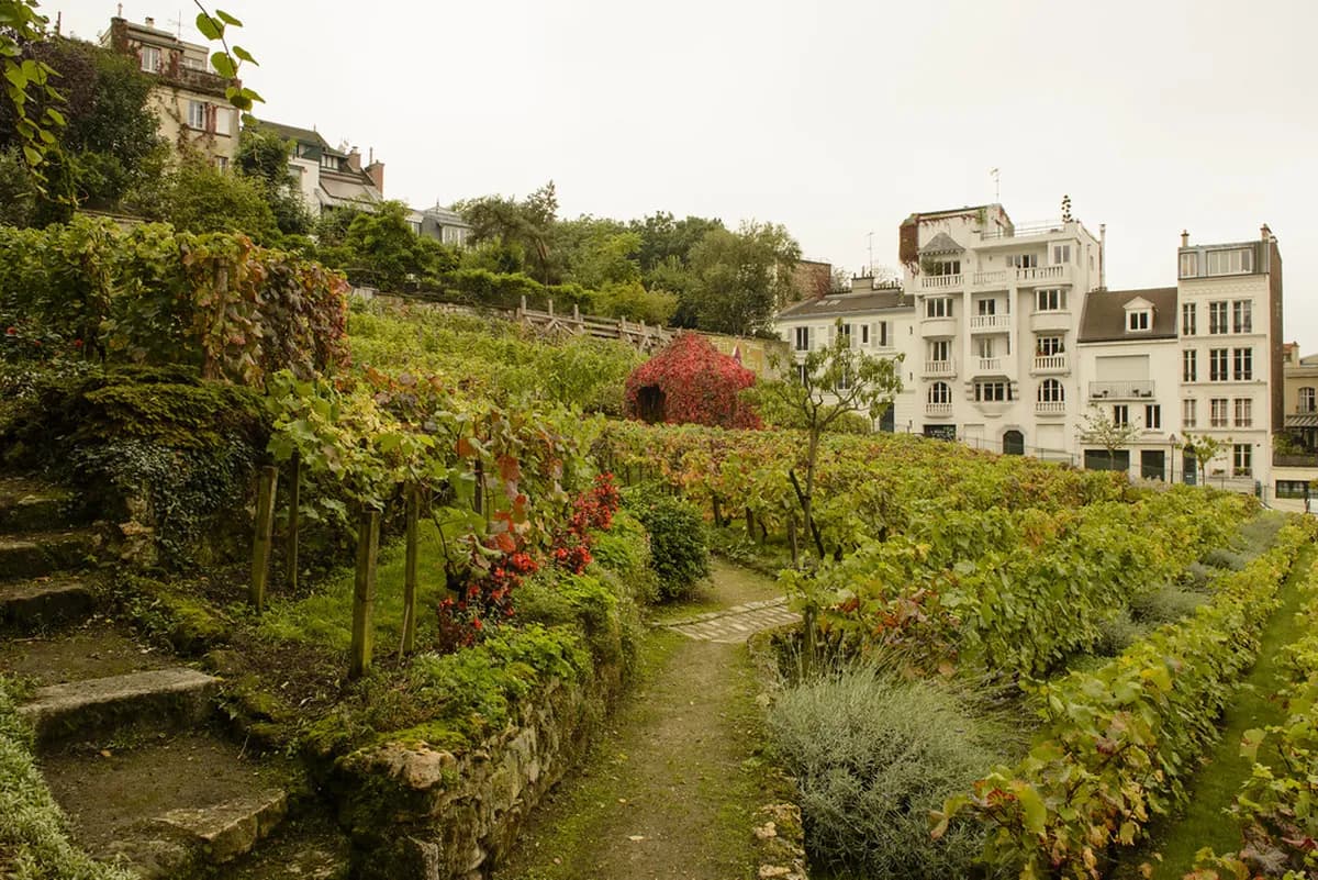 Montmartre Guide: Ultimate Paris Travel Guide