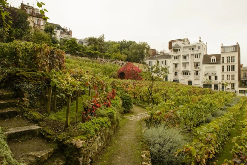 Montmartre Guide: Ultimate Paris Travel Guide