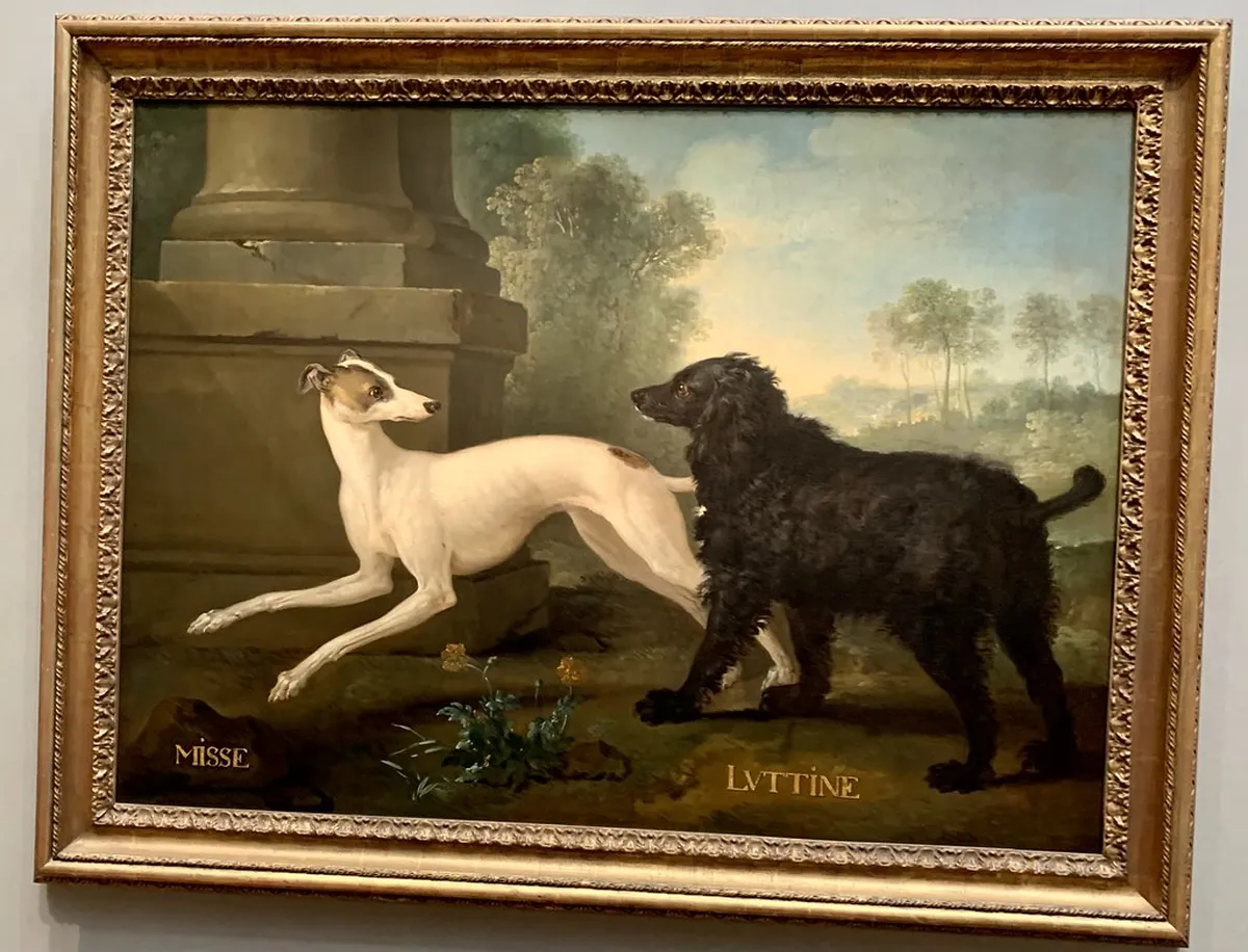 Musée de la Chasse et de la Nature Visitor Guide: Tips & Highlights