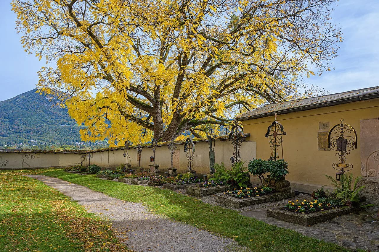 Nonntal, Salzburg: A Local's Guide to the City's Quiet Historic District