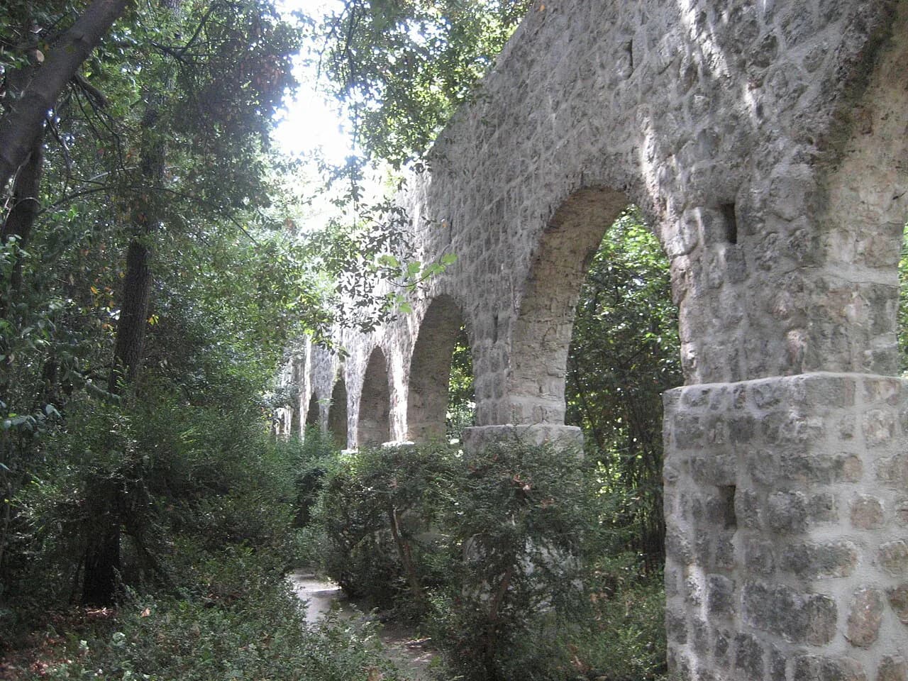 Trsteno Arboretum Dubrovnik: A Complete 2026 Visitor Guide