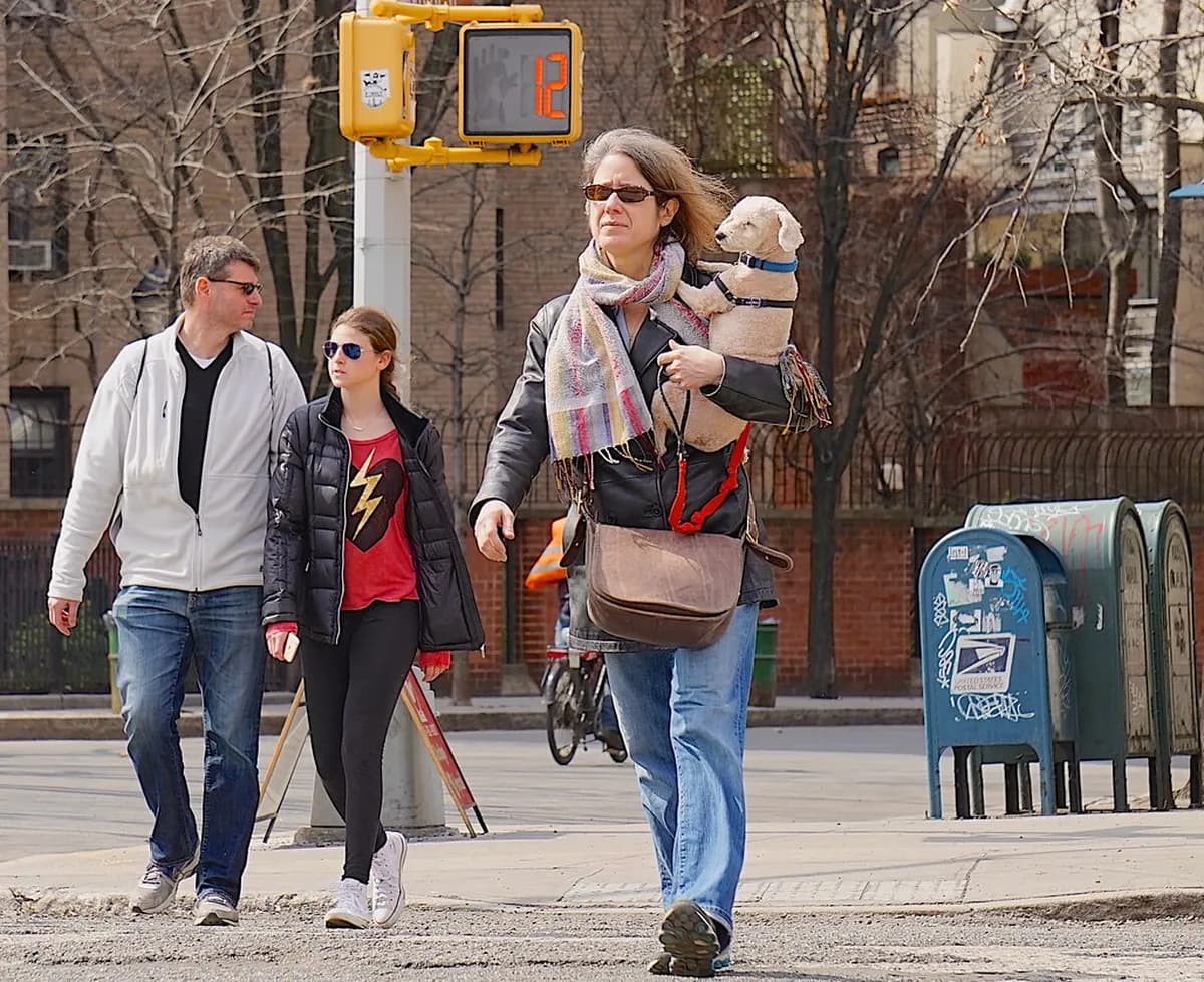 15 Unusual Things to Do in Rome: Hidden Gems and Secret Spots (2026)