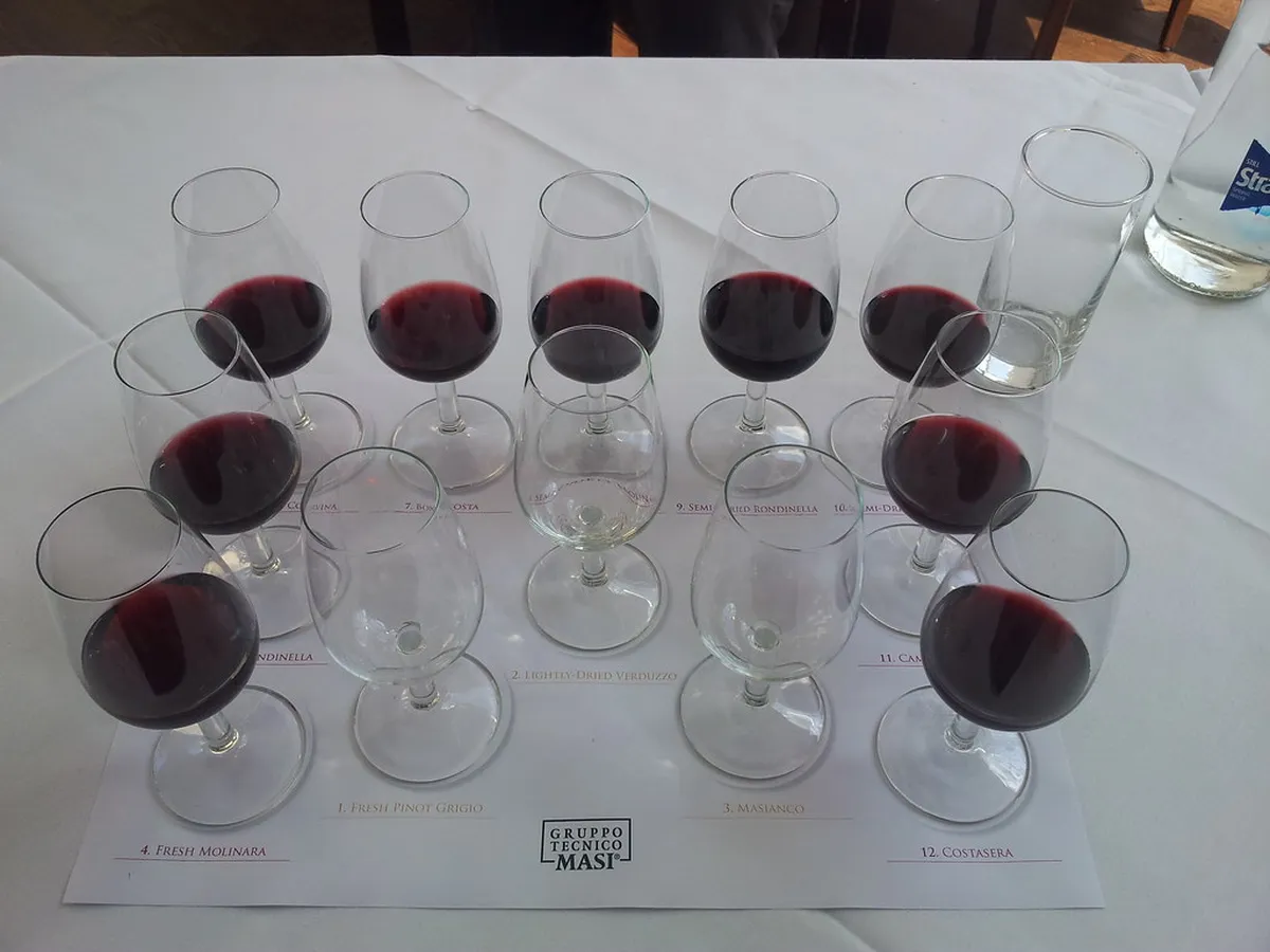 Valpolicella Wine Tour from Verona: The Ultimate Planning Guide
