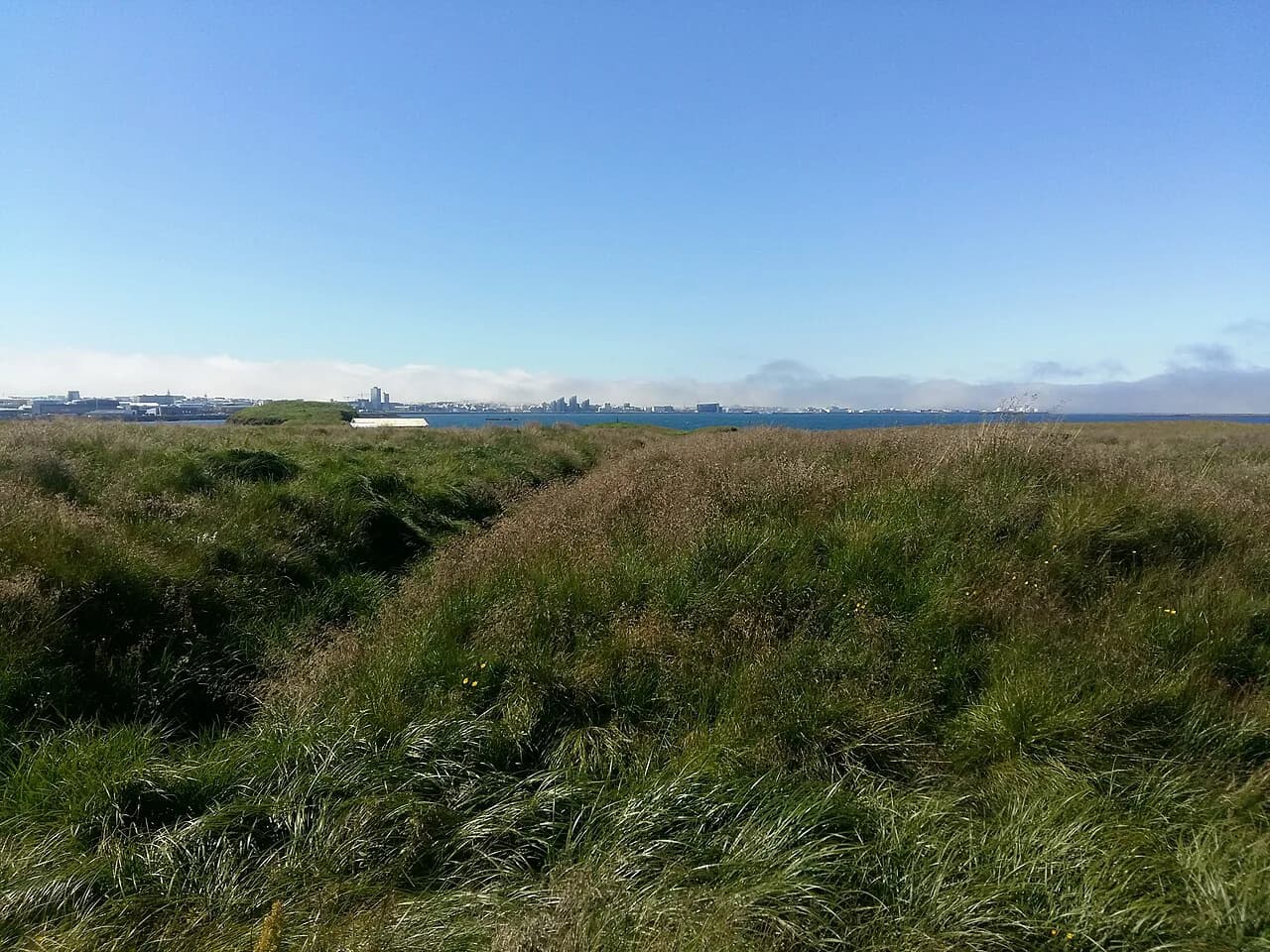 Viðey Island, Reykjavik: Ferry, Tickets & Planning Guide