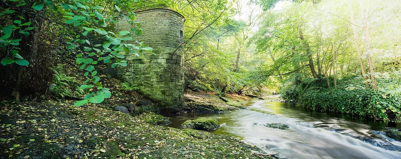 Water of Leith Walk: Complete Route & Segment Guide (2026)