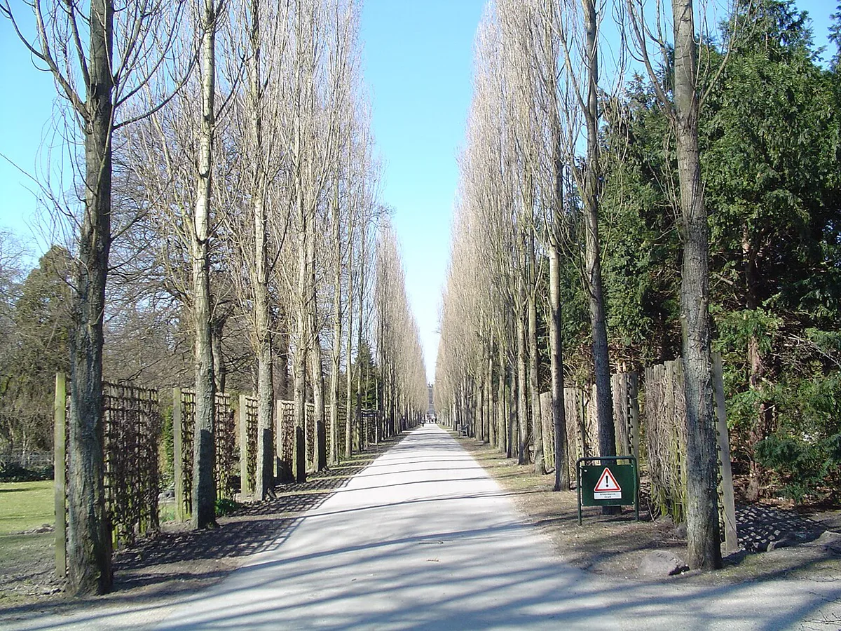 Locals relaxing on the grass among historic headstones at Assistens Cemetery in Copenhagen — 1