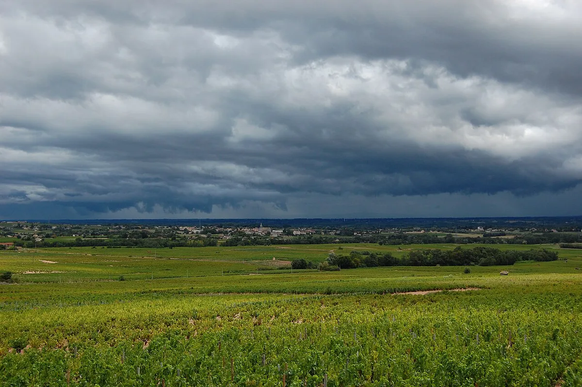 Beaujolais wine region — 1