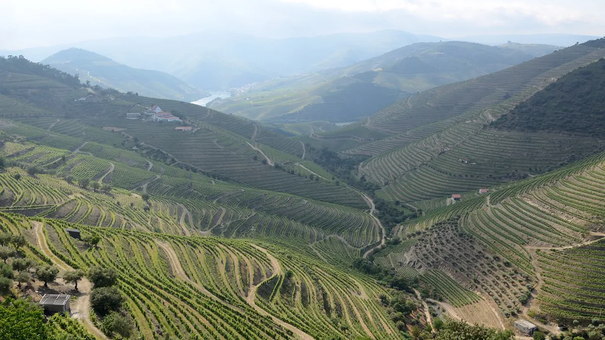 Terraced vineyards of the Douro Valley in Northern Portugal, a UNESCO World Heritage wine region