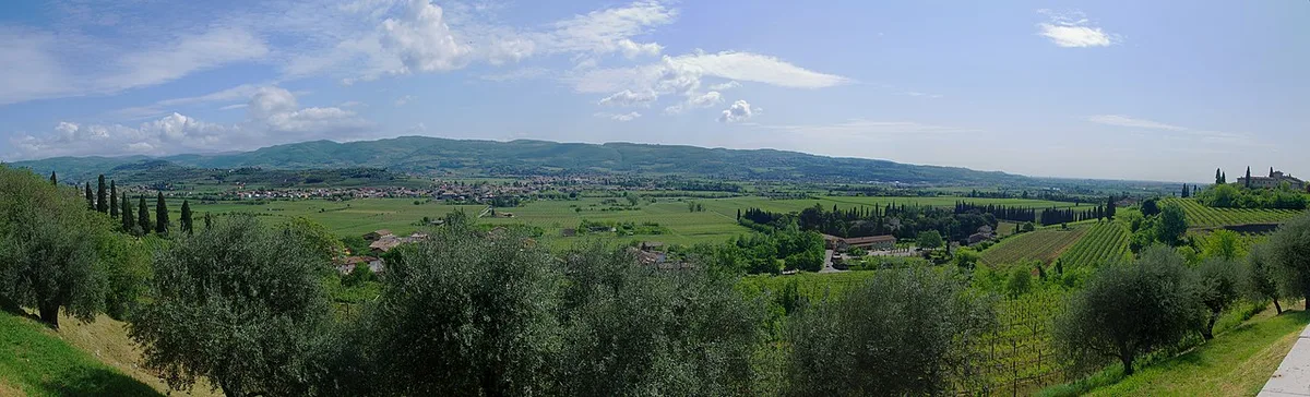 View Castelrotto to Pedemonte Arbizzano Montericco hill-olea europaea-varietal corvina corvinone rondinella molinara dindarella oseleta croatina-april 2014-photo for Mamme della Valpolicella-by Paolo Villa — 2