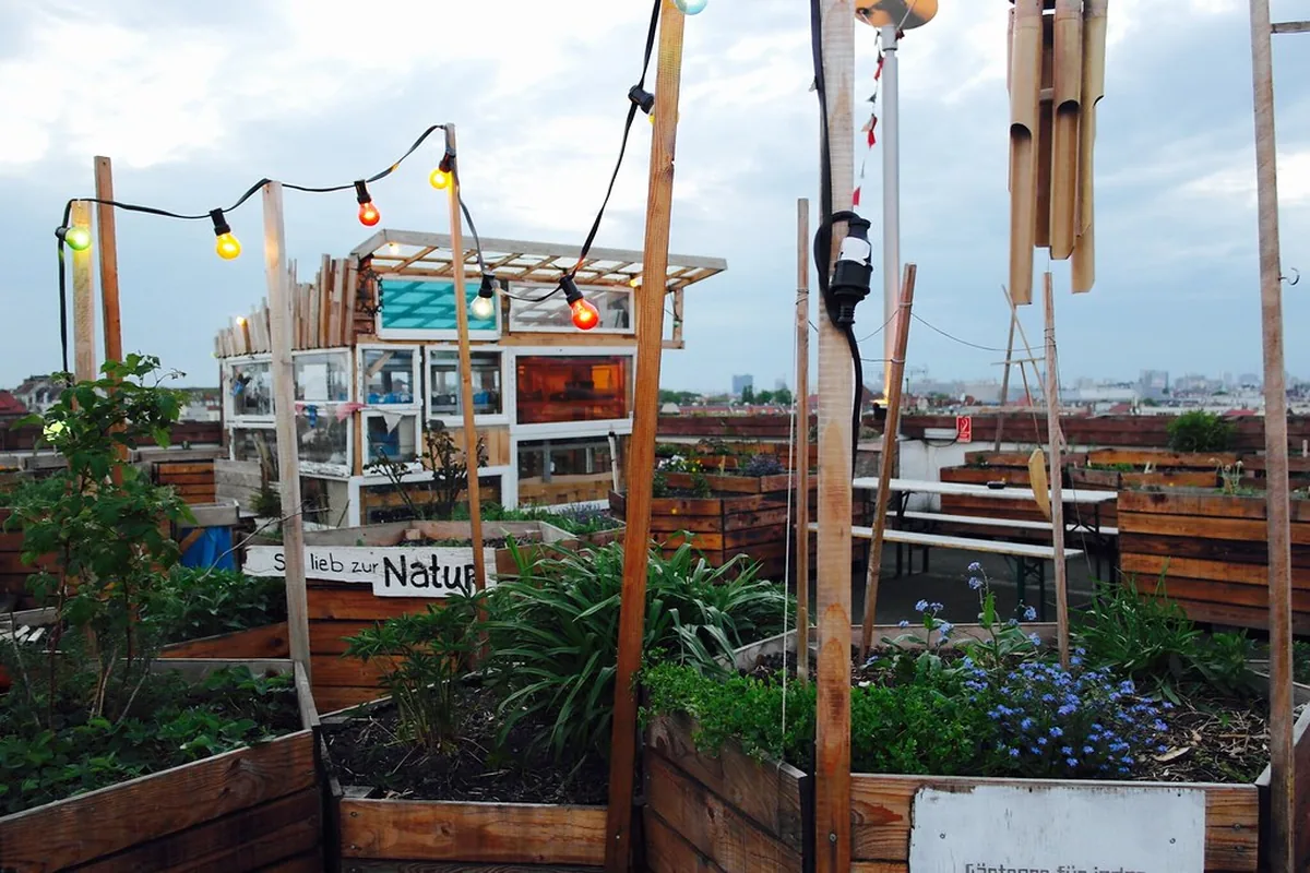 Essential Tips for a Seamless Rooftop Bar Experience