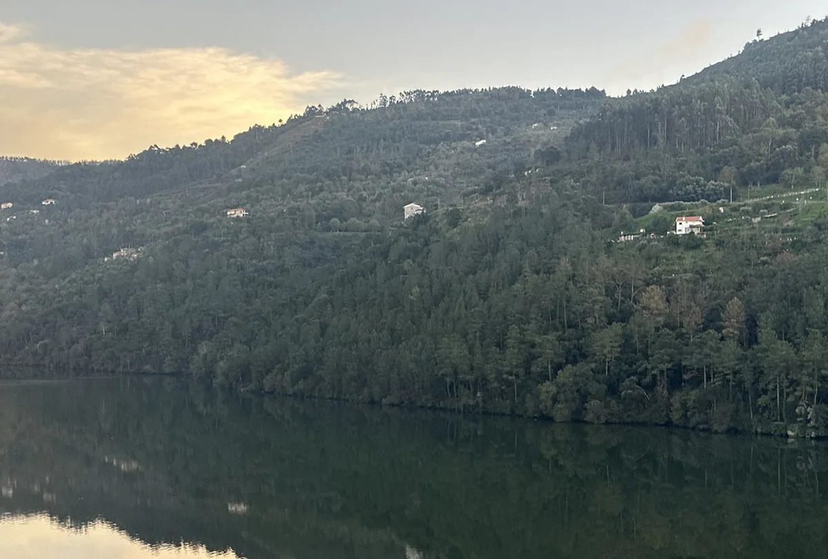 Porto autumn Douro Valley terraced vineyards with golden light and grape harvest season