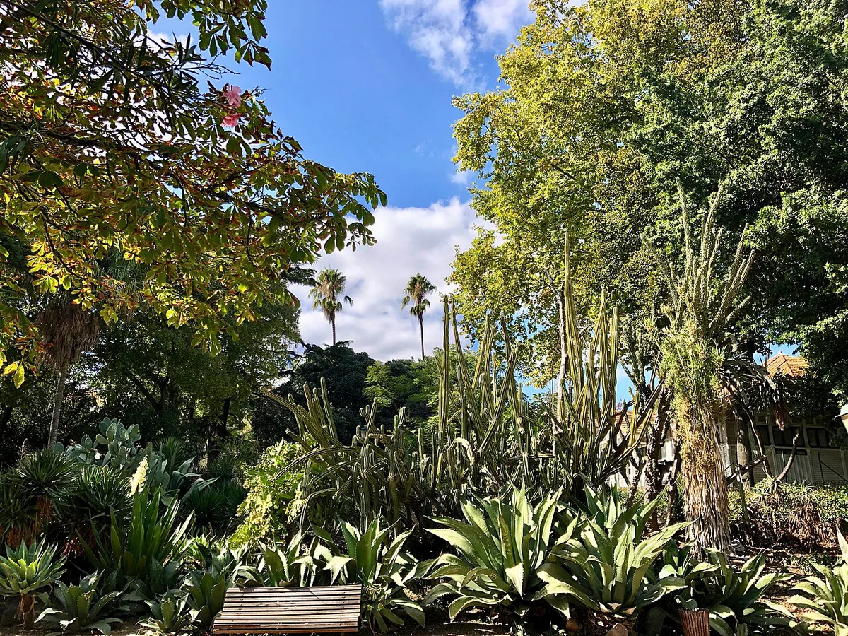 Jardim da Estrela Lisbon, Lisbon, Portugal — 2