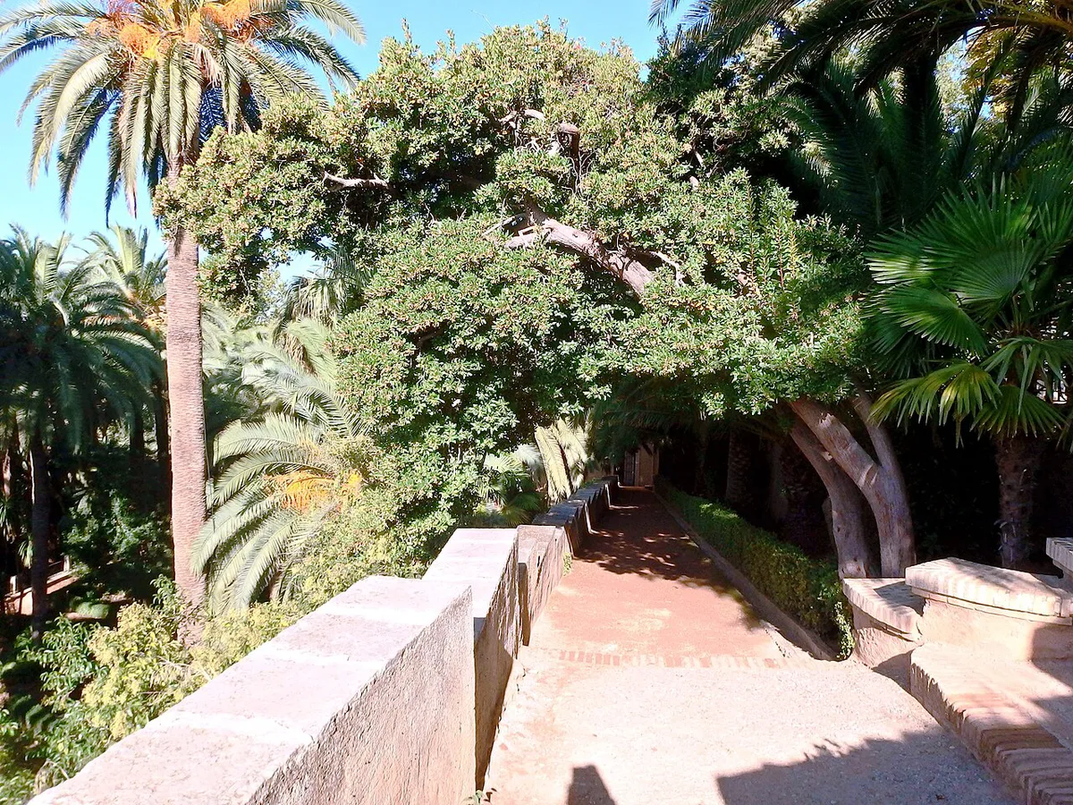 Peacocks roaming the fountains and gardens of Carmen de los Mártires in Granada — 1