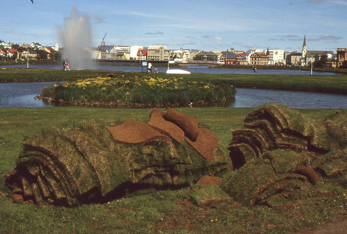 Tjörnin in Reykjavík with turf 1988 — 2