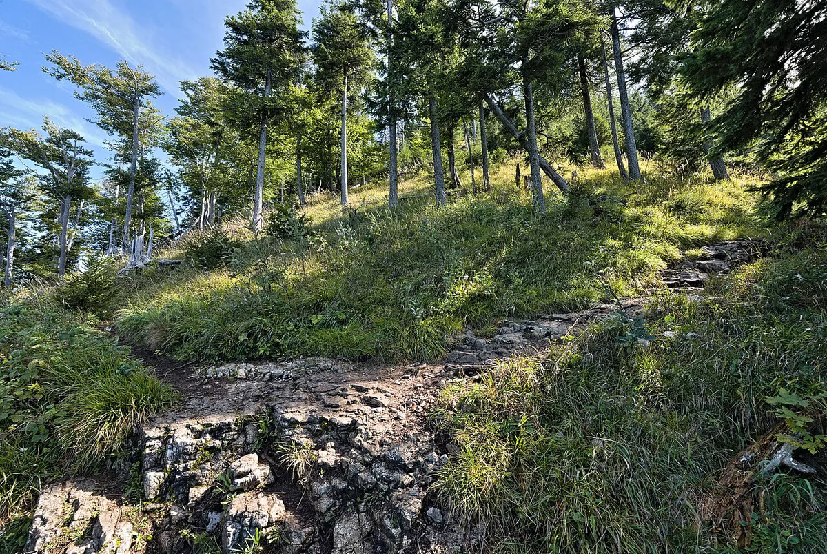 Panoramic alpine view from the summit of Gaisberg mountain overlooking Salzburg — 1