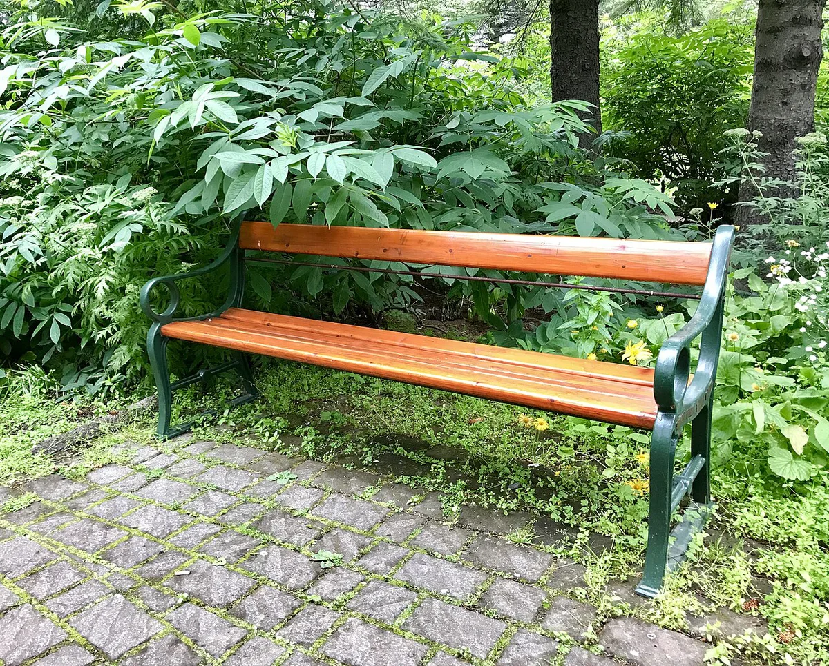 Reykjavík park bench — 2