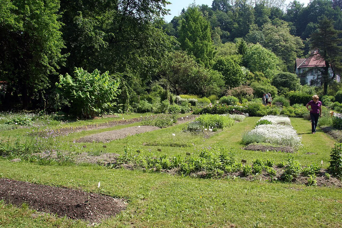 Plant beds and paths inside the historic Ljubljana Botanical Garden founded in 1810 — 1