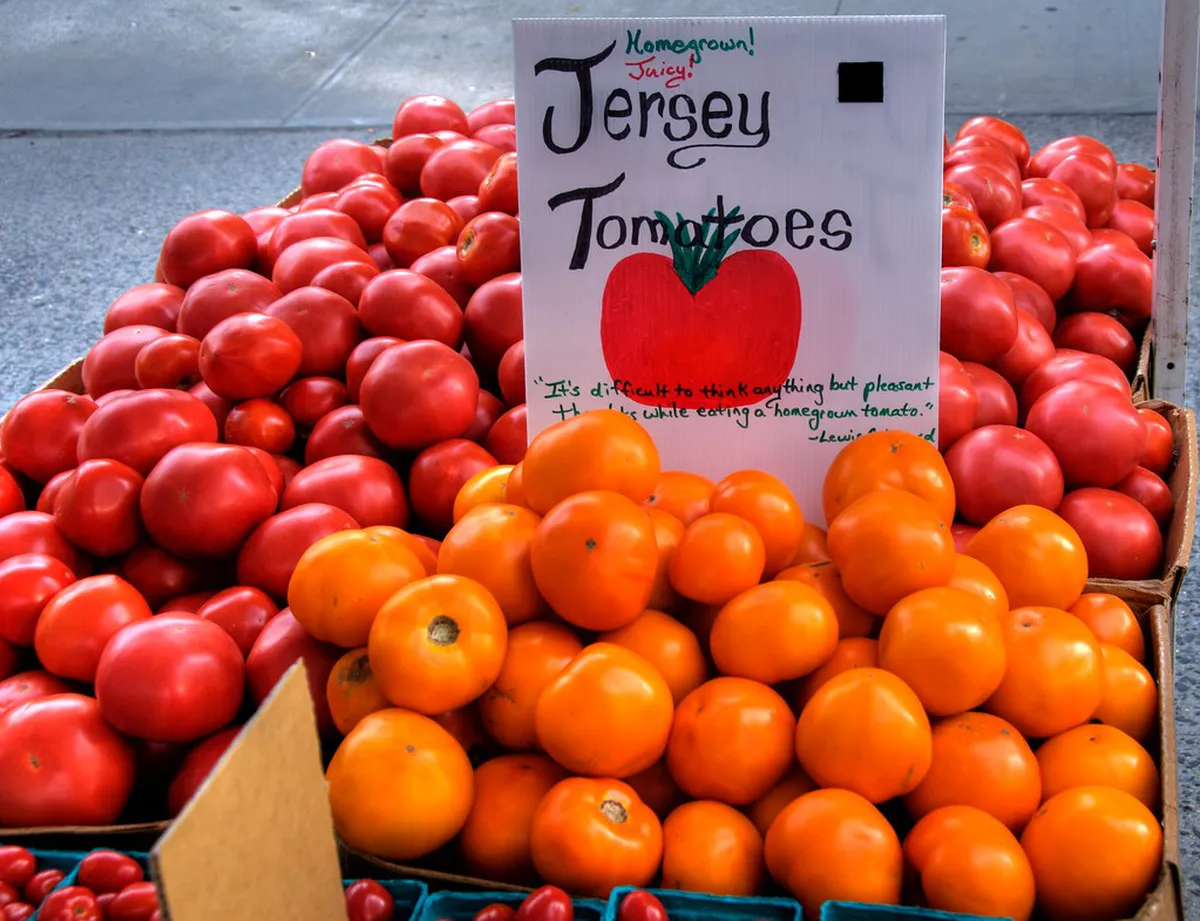 Where to Eat by Neighborhood: Vieux Nice, Le Port and Libération