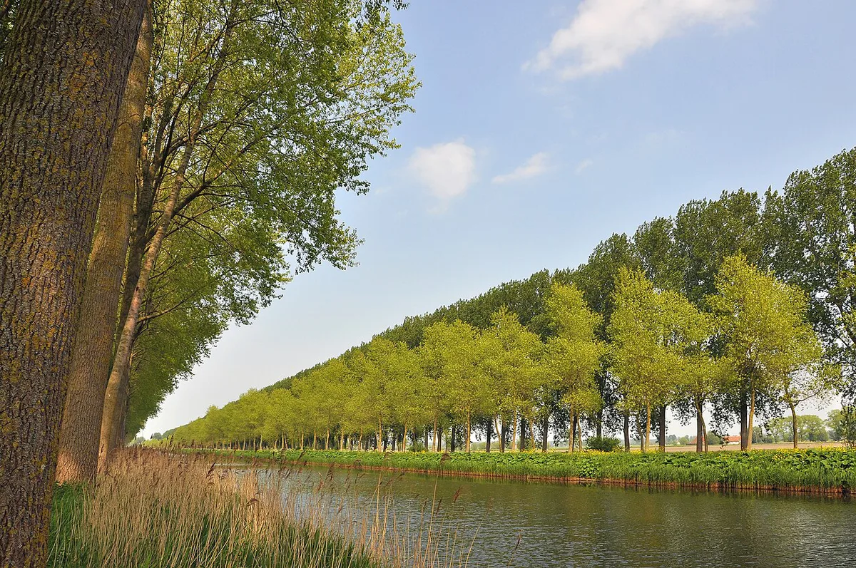 Damse Vaart R01 — 2
