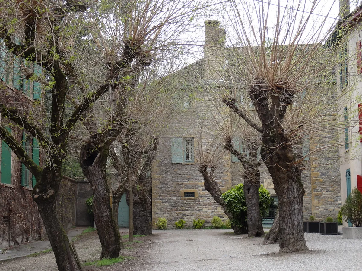 How to Visit Île Barbe Without Trespassing in Lyon