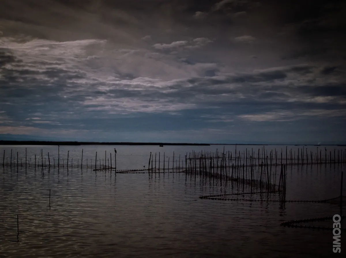 Alternative Nature: Albufera and the Best Bike Loop in Valencia