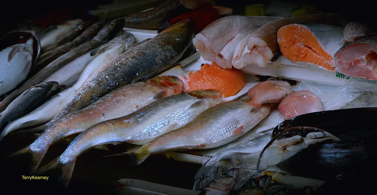Fresh seafood and salt cod dishes served in Porto, Portugal