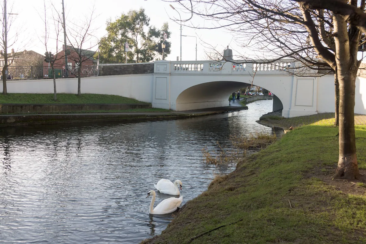 Portobello Dublin: What to Know Before You Go