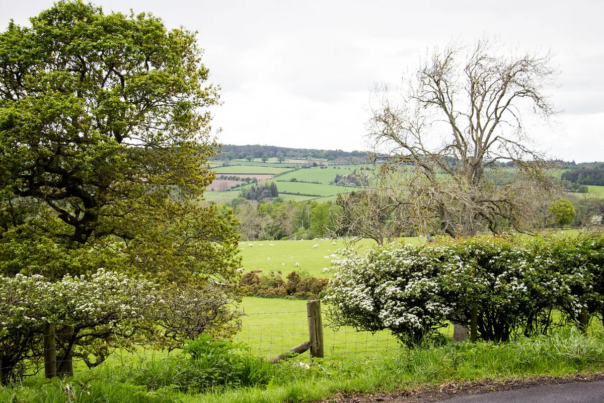 Green Escapes Away from the Tourist Trail in Edinburgh
