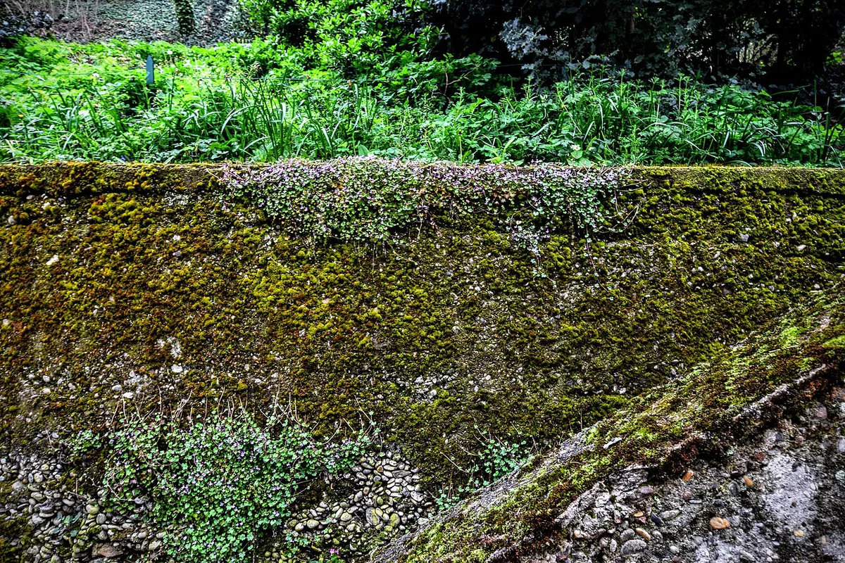 Parc des Hauteurs (26244017176) — 2