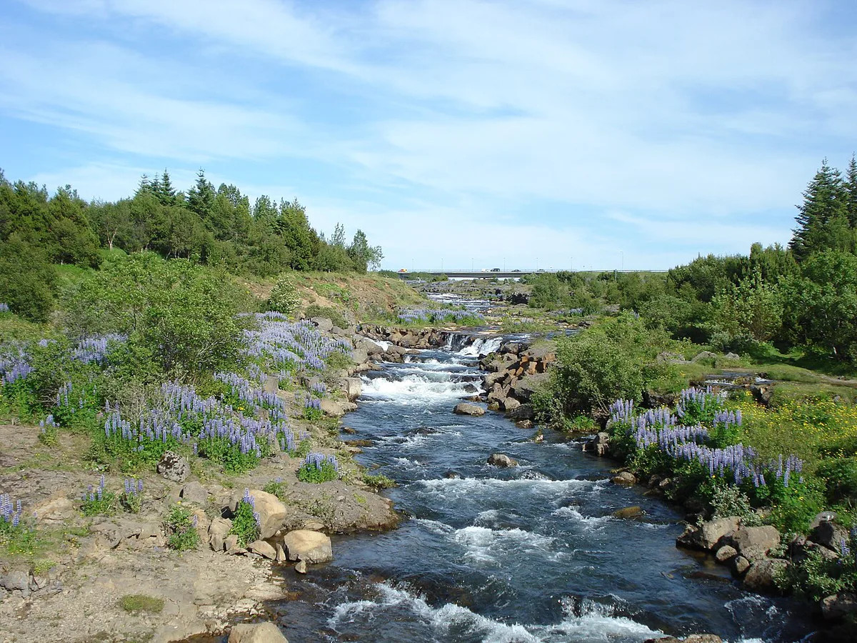 Ellirardalur10 — 1
