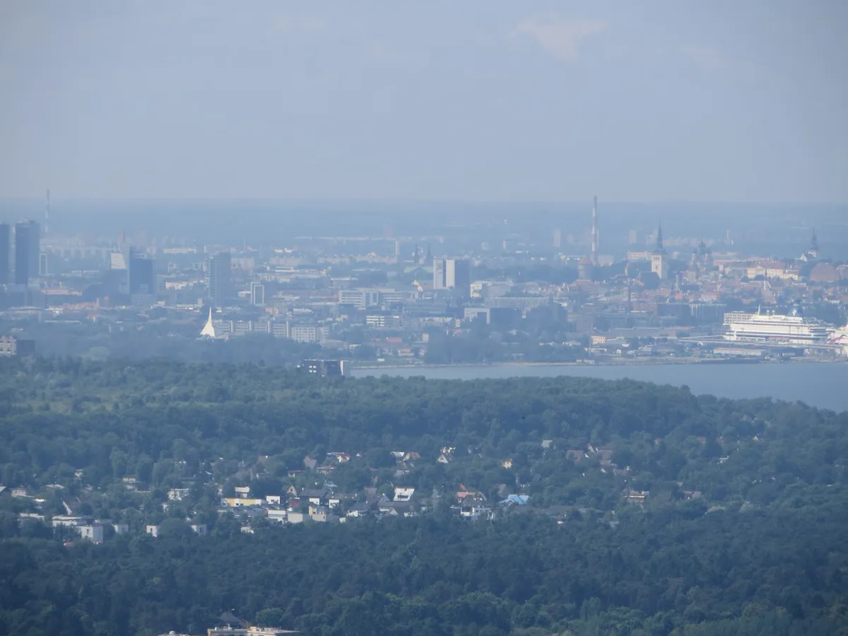 Mistakes to Avoid When Chasing Tallinn's Secret Spots