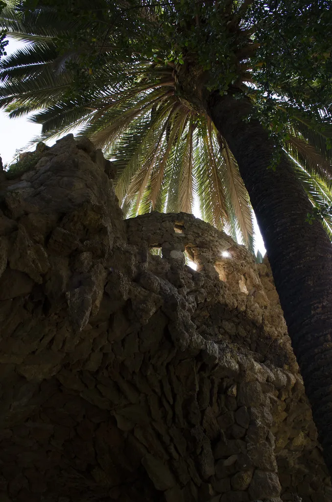 Park Güell The Free Perimeter Terrace Most Visitors Pay to Skip in Barcelona