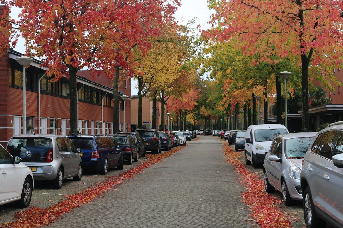 Seasonal Planning Booking in Amsterdam, the Netherlands