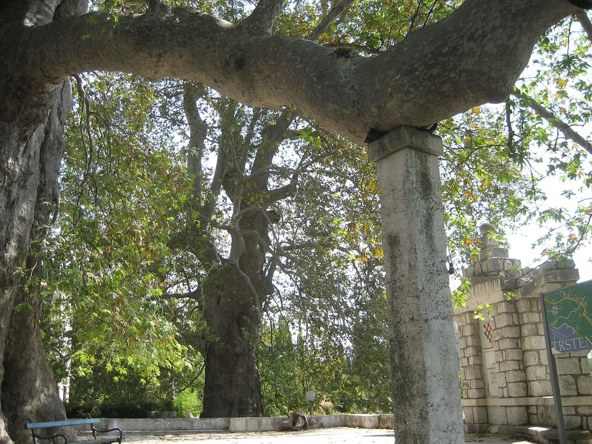 The Renaissance aqueduct and gardens of Trsteno Arboretum north of Dubrovnik — 2